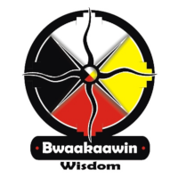 Bwaakaawin | Wisdom